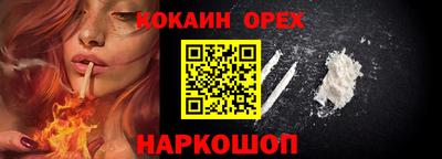 крисы Будённовск