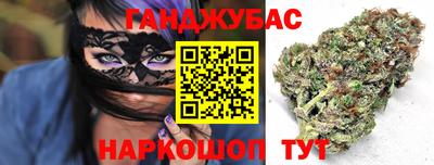 крисы Будённовск