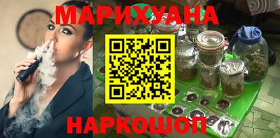 крисы Будённовск