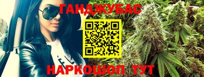 крисы Будённовск