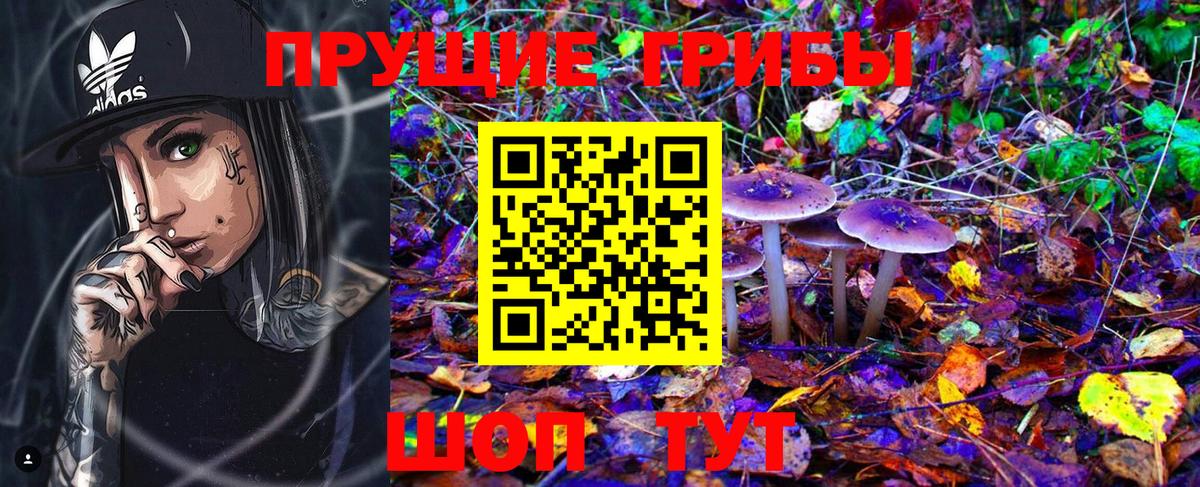 Скопин  наркотики  Вход с VPN  Псилоцибиновые грибы Psilocybe 