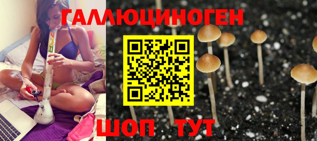 Псилоцибиновые грибы мухоморы Скопин