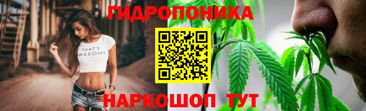 Канабис гибрид  Каннабис сатива  Скопин  Конопля White Widow  Вход с VPN 